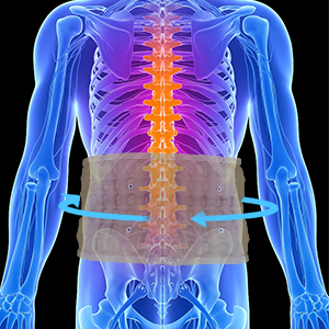 3e130290-606a-4fc2-afc8-4e61fc56df76.__CR0,0,300,300_PT0_SX300_V1___